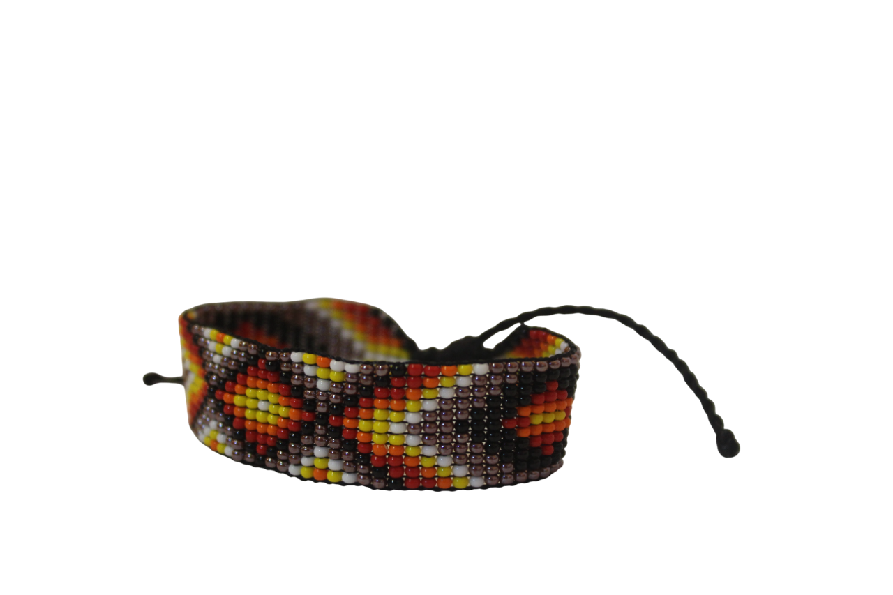 Raíces de Color - Imagen 2