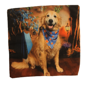 Ropa para mascotas sobre medidas pañoletas personaliza das y normales